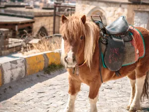 Horse Riding in Cappadocia