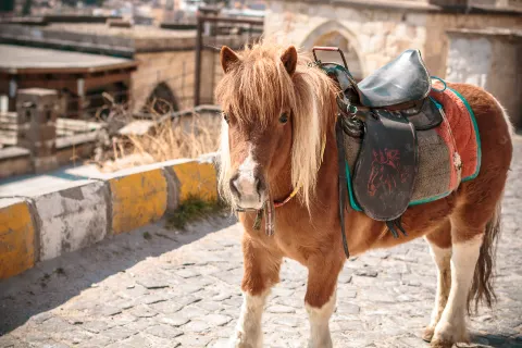 Horse Riding in Cappadocia