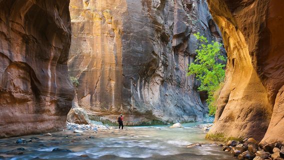 The Narrows