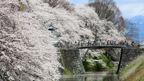 山形