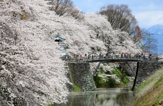 Kajo Park
