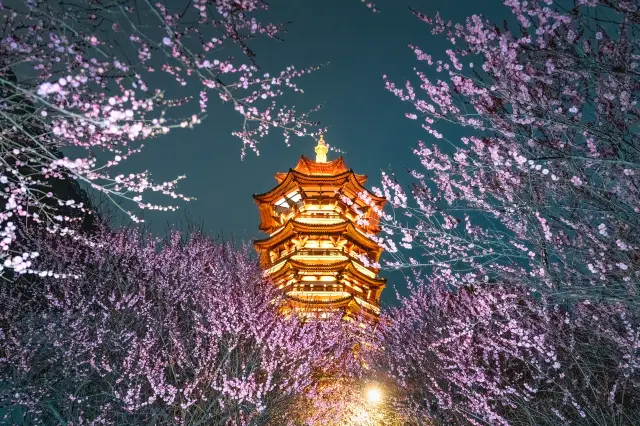 Changsha Plum Blossom Viewing