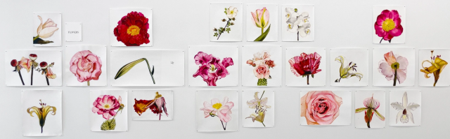 莎朗·科爾個展《傳真》 | Yancey Richardson