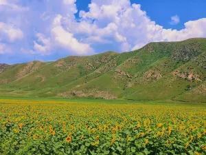 Hongshiya National Ecological Park Inner Mongolia
