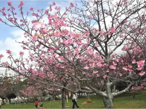 오노야마 공원