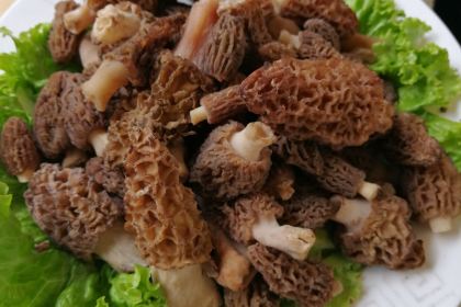 Major Stone Pot Restaurant