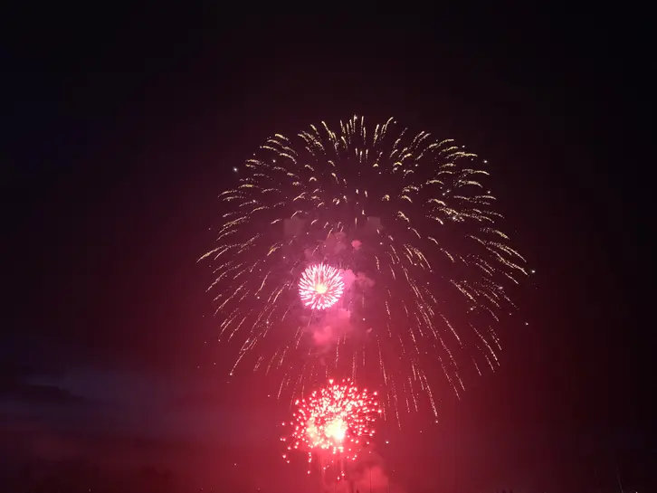 Cupertino Independence Day Celebration | Cupertino