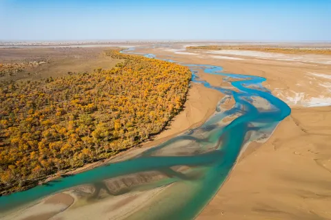 타클라마칸 사막