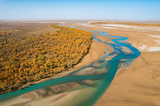 Taklimakan Desert