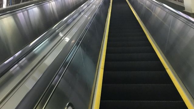 huang guo shu da fu ti - shang zhan