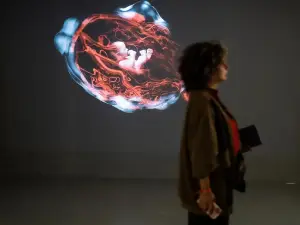 Dutch Design Week