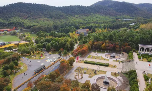 Maoshan Forest World