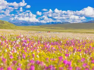 Maoya Grassland