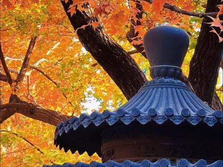 Xiangshan Red Leaf Festival