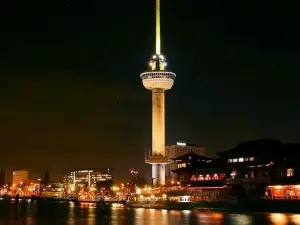 Attrazioni del Giro Notturno a Rotterdam: le opzioni più popolari