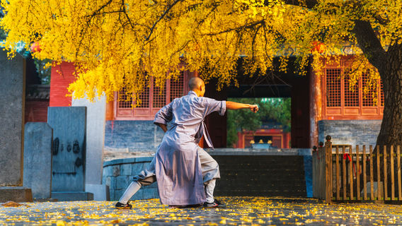Wellness & Martial Arts Experiences at Shaolin Temple