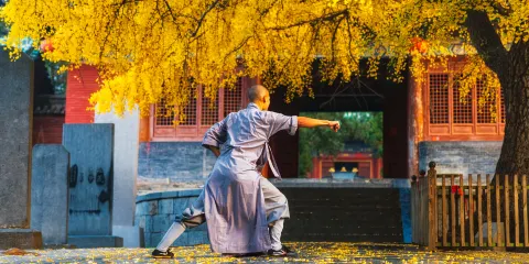 少林寺修習體驗