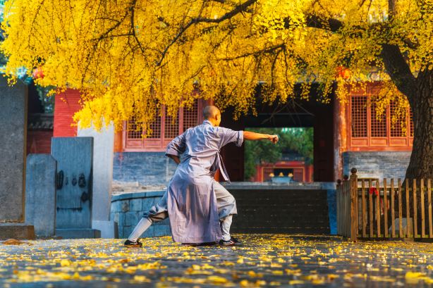 Ateliers arts martiaux et bien-être dans un monastère Shaolin
