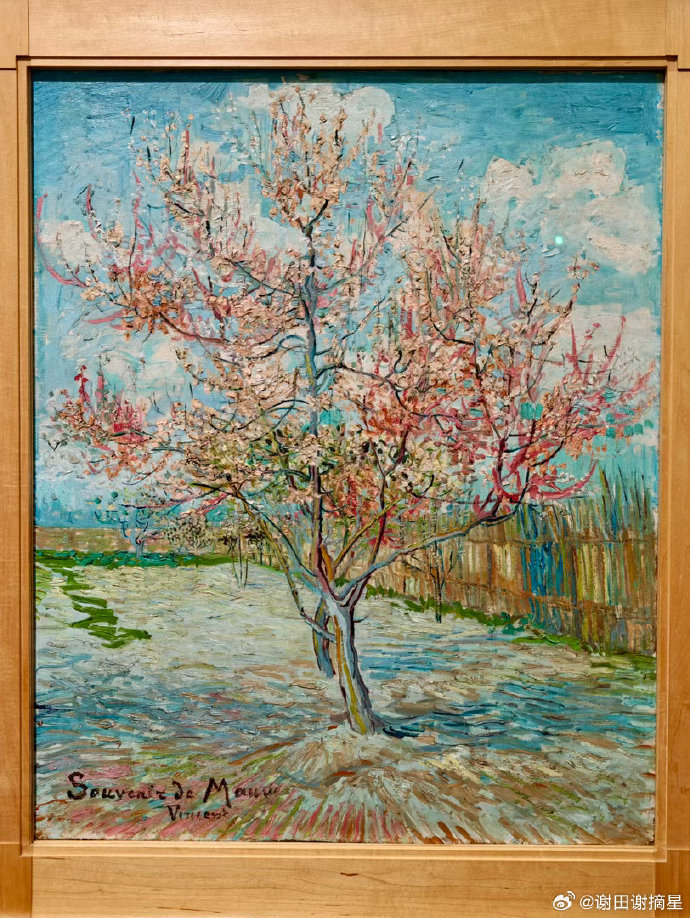 Van Gogh: All Our Paintings | Kroller-Muller Museum