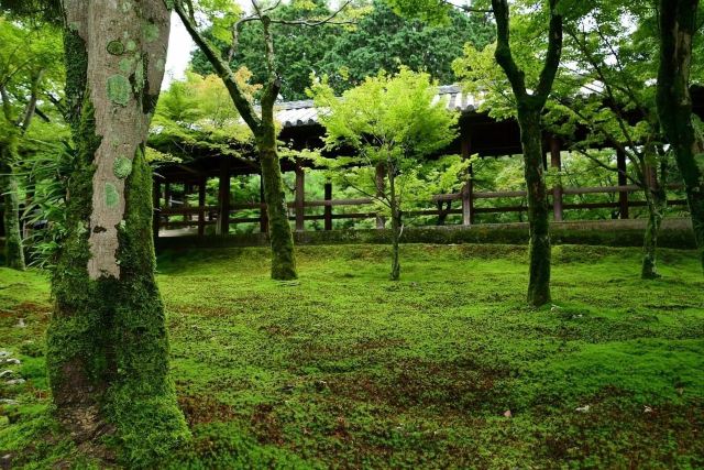 東福寺