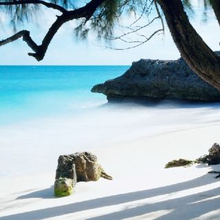 รีสอร์ทแซนดี้เลน:

รีสอร์ทหรูริมชายหาดในบาร์เบโดส แซนดี้เลน

รีสอร์ทแห่งนี้เป็นสวรรค์สำหรับคู่รักที่มาฮันนีมูน มอบ

ความเป็นส่วนตัว กิจกรรมมากมาย และ

บริการระดับเฟิร์สคลาส รีสอร์ทตั้งอยู่บน

ชายฝั่งตะวันตกของเกาะบาร์เบโดส แซนดี้เลน

ยังมีสนามกอล์ฟสามแห่งและสปาขนาด 47,000 ตารางฟุต

รีสอร์ทแห่งนี้ยังมีชายหาดทรายขาว

และทะเลแคริบเบียน

เกาะบาร์เบโดสมีสภาพอากาศแบบเขตร้อน

อุณหภูมิคงที่ตลอดทั้งปีระหว่าง 75 ถึง

85 องศา เที่ยวบินตรงไปยังบาร์เบโดสใช้เวลา

ประมาณ 4.5 ชั่วโมงจากนิวยอร์กซิตี้ ทำให้

เกาะแห่งนี้เป็นหนึ่งในสถานที่พักผ่อนริมชายหาดที่ดีที่สุดจาก

ชายฝั่งตะวันออก


คันทรีคลับที่ Sandy Lane Resort เป็นสถานที่สำหรับนักกอล์ฟ... สถานที่สวยงามเหมาะสำหรับการพักผ่อนริมชายหาด

#ขอบคุณ #พระราชวัง #รีสอร์ทสกี #อาหารทะเลรสเลิศ #โรงแรมสวย #คู่มือถ่ายภาพริมทะเล #วันหยุดฤดูร้อน #วันหยุดชายหาด #พักโรงแรม #นักสำรวจเมือง