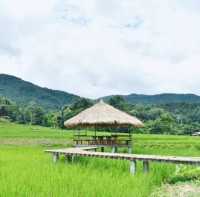 บ้านแม่กลางหลวง จ.เชียงใหม่
