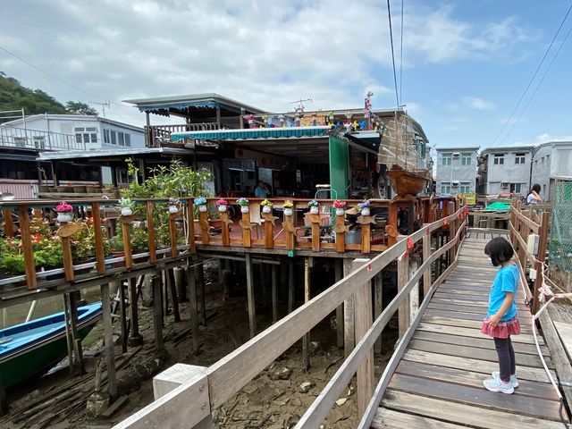 大澳虎山睇海豚，東涌staycation