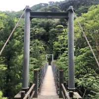 世界遺産ー屋久島
