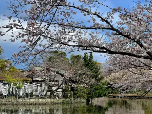 Tsurugaoka Hachimangu
