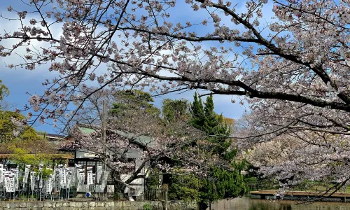 Tsurugaoka Hachimangu