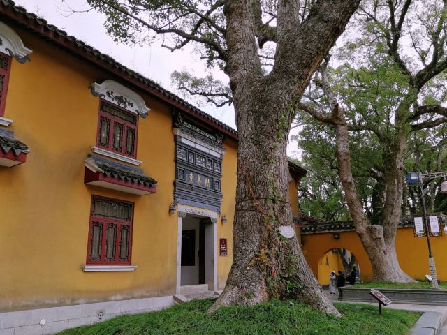 普濟禪寺
