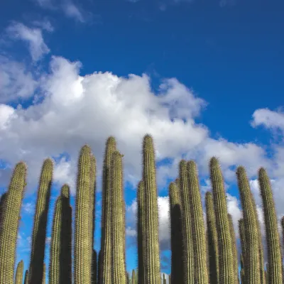 Отели рядом с достопримечательностью «Palm Springs Air Museum»