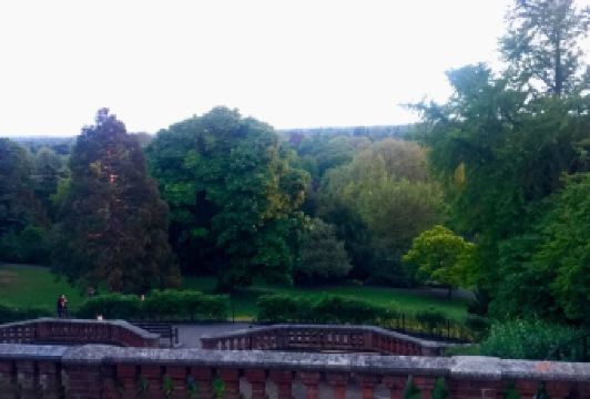 La Luna di Luca User Photo