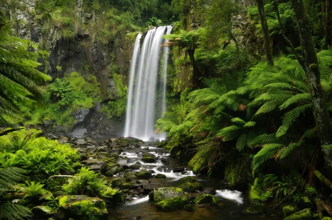 โรงแรมใกล้Mahua Waterfall