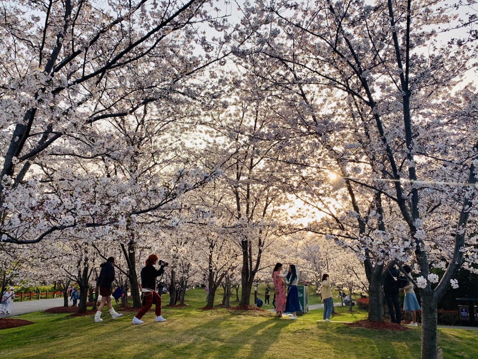 Gucun Park Travel Guidebook Must Visit Attractions In Shanghai Gucun Park Nearby Recommendation Trip Com