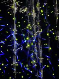 TeamLab Borderless- Transcending Artwork