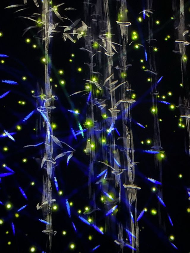 TeamLab Borderless- Transcending Artwork