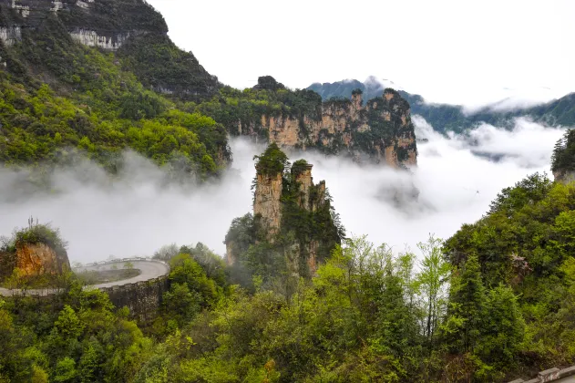 Zhangjiajie Huangting Hotel (Wujiayu Ticket Station, Wulingyuan Scenic Area, National Forest Park)