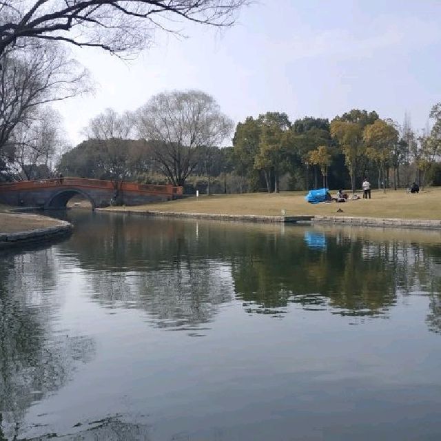 Oriental Land, Shanghai