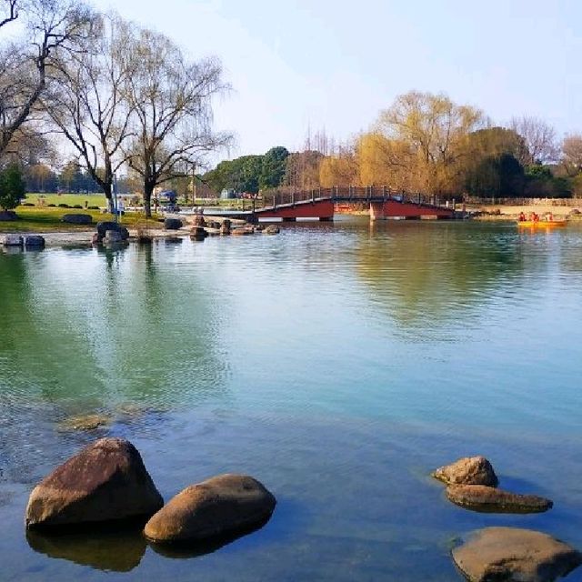 Oriental Land, Shanghai