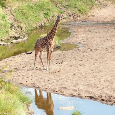 Shemeji Safari周辺のホテル