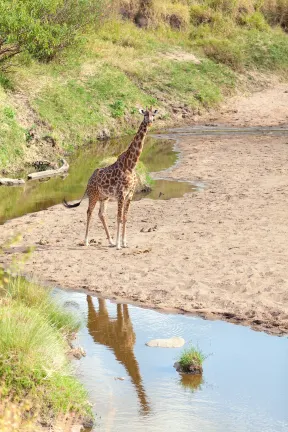 Отзывы об отеле Zanzibar Palace Hotel