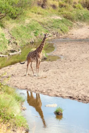 サンパウロ⇒アルーシャ 飛行機