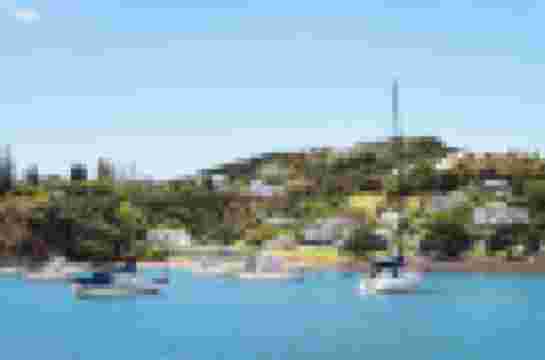 New Zealand Sage At Paroa Bay Royal London Cooking Selling Class And - Main Image