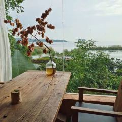 Tea & Company 여행 사진