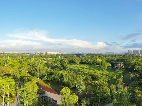 Dongguan Ecological Park Wetland Sceneic Area