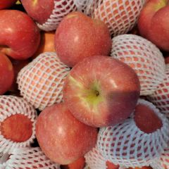 鲜果屋水果超市(古槐路店) User Photo