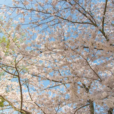 隠岐の島町のホテル