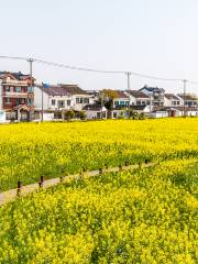 Beilian Village, Tongli Town