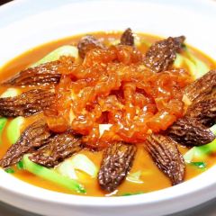 SUN PLANT User Photo